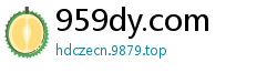 959dy.com